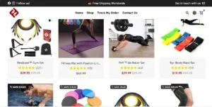 Fitness Website